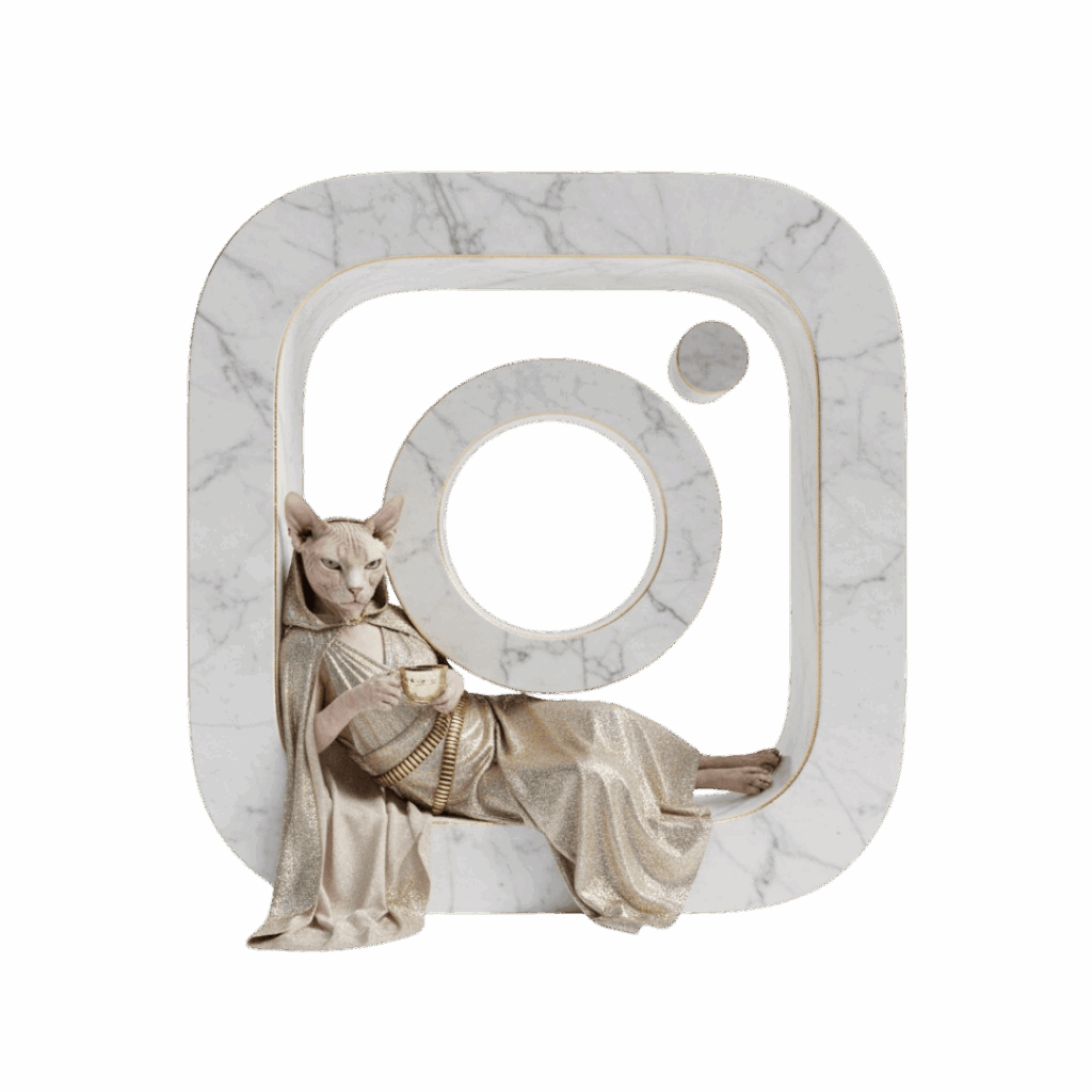 Sphynx Katze im Instagram Logo